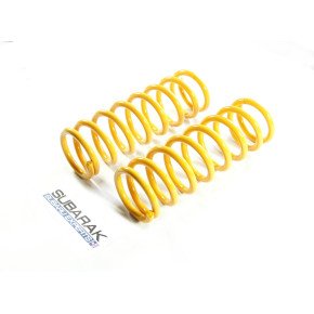 IRONMAN Rear Coil Springs fit Subaru Forester SH +35mm lift