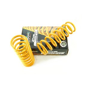 IRONMAN Rear Coil Springs fit Subaru Forester SG +35mm lift